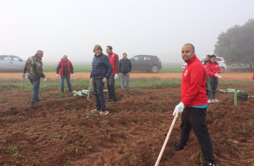 La Atalaya de Ciudad Real se renueva: 70 voluntarios plantaron una hectárea de árboles en jornada ecológica