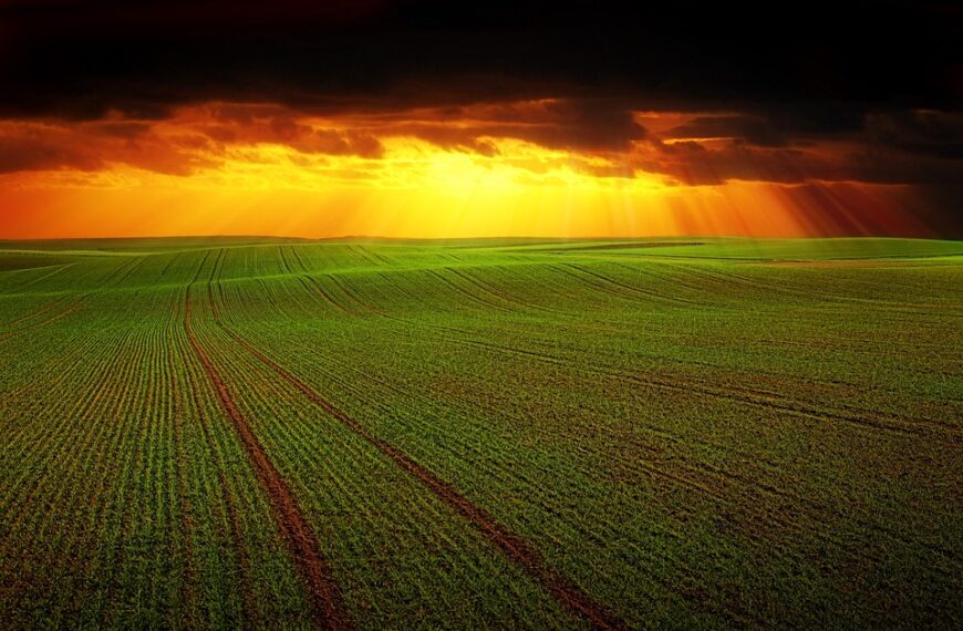 La Economía Social de Castilla-La Mancha: más de cien medidas para combatir la despoblación