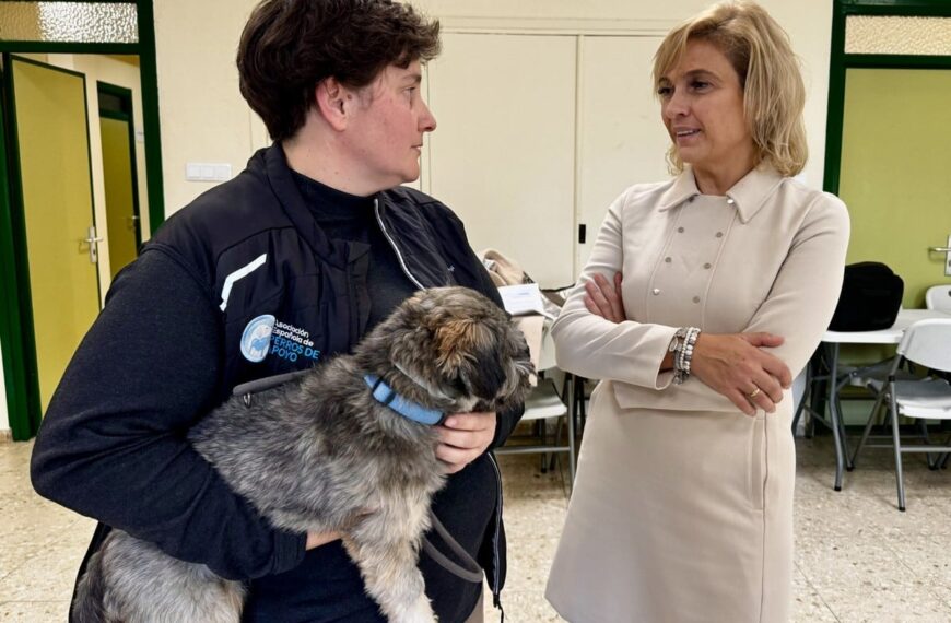 El proyecto ‘Estoy Contigo’ de Ciudad Real: una innovadora recuperación para víctimas de violencia de género