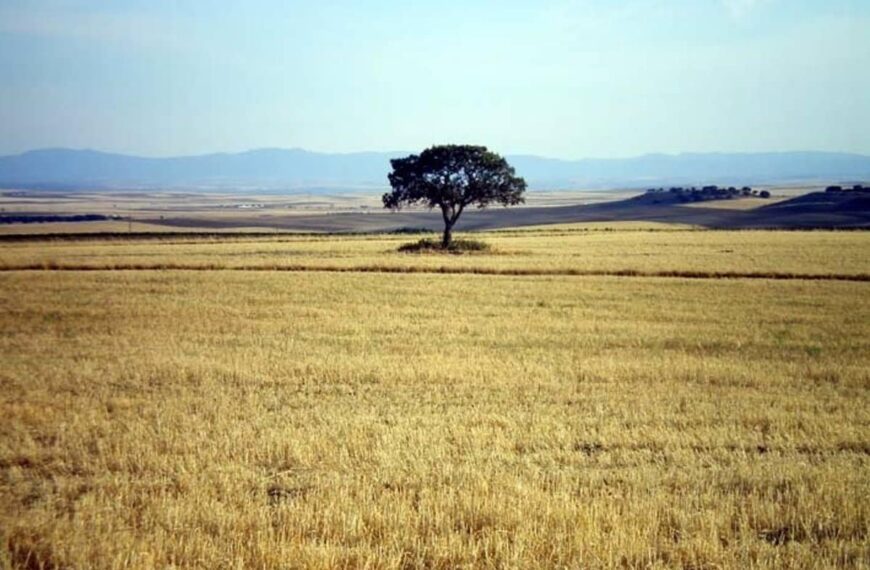 Geacam obtiene luz verde para implementar un sistema de protección en ecosistemas de Red Natura en Castilla-La Mancha