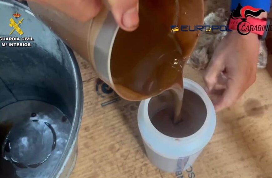 Operación Transnacional Contra el Fraude: Once Individuos Arrestados por Comercio de Aceite de Oliva Falsificado en España e Italia