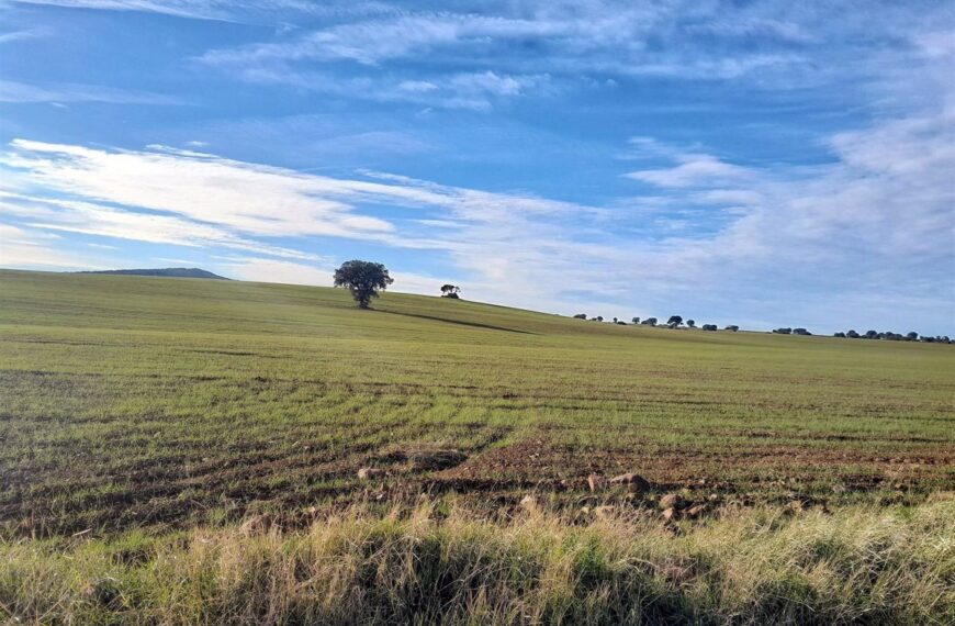 Advertencia de ‘Sí a la Tierra Viva’: Quantum Minera proyecta exploración de casi 9 mil hectáreas en Ciudad Real