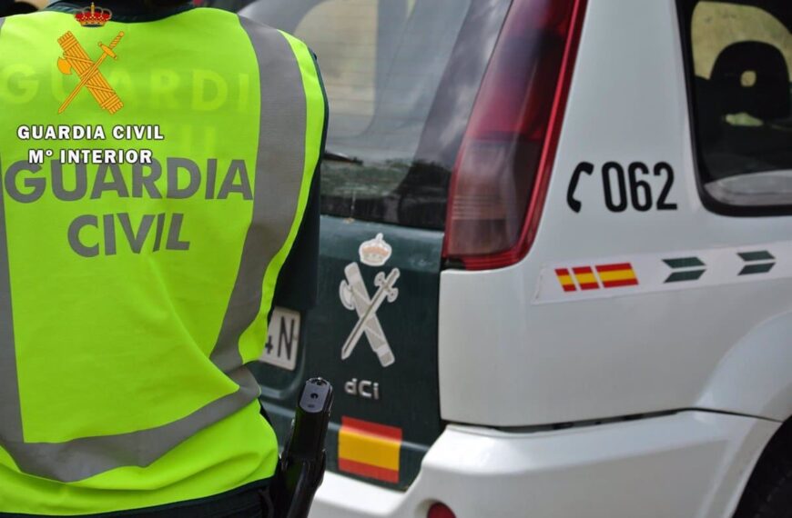 Arrestan a ladrón en Pedro Muñoz tras cometer robos al descuido y agredir a un pariente