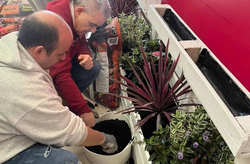 El Museo García Rodero se viste de verde gracias a la colaboración de los alumnos de Aspades