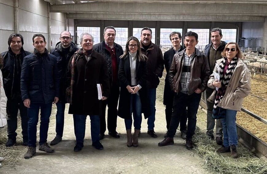 Iniciativas Europeas en Proyectos de Conservación y Mejora Genética de la Oveja Manchega