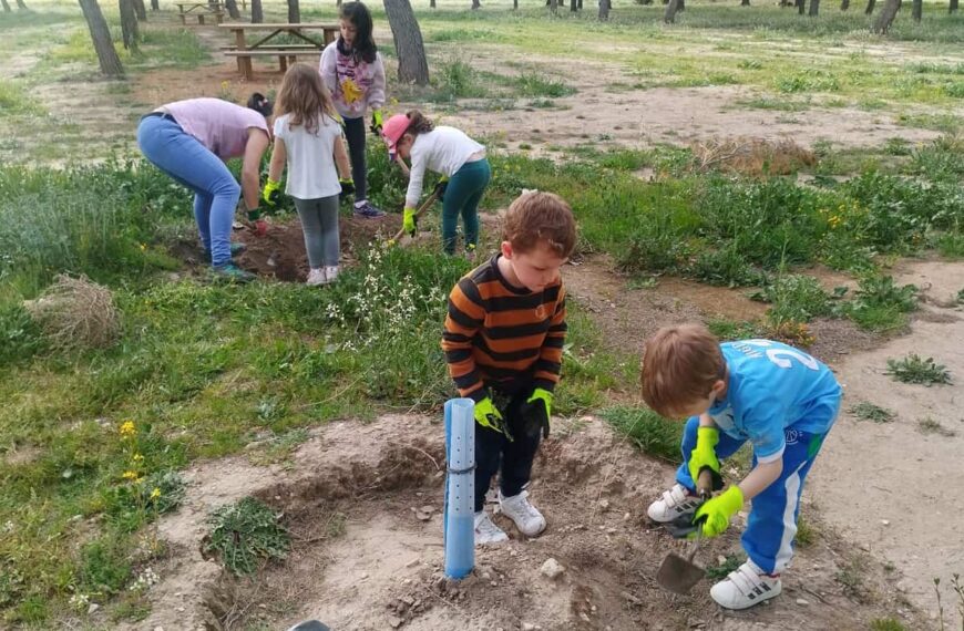 Las aulas corresponsables de Argamasilla de Alba celebraron el Día Internacional de los Bosques