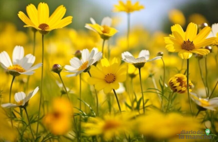 La peor primavera en los últimos 20 años para los alérgicos al polen de gramíneas