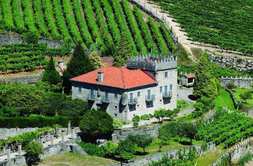 Señor da Folla Verde y Torre la Moreira: Referencias Destacadas en Vinos para 2018, Según Expertos