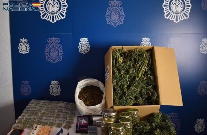 Desmantelado Centro de Producción y Distribución de Marihuana en Tomelloso: Un Detenido