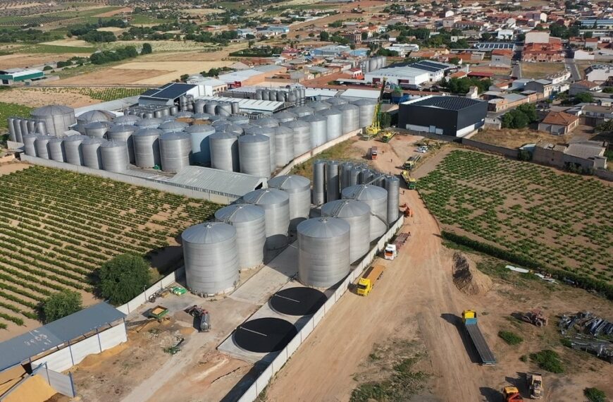 Ojos del Guadiana Sauvignon Blanc consigue la medalla de oro en los premios Manojo