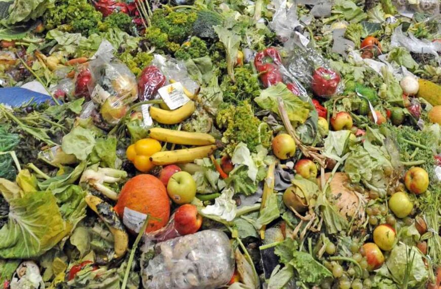 Sector de Distribución en España: Desperdicio Alimentario Representa el 3% de las Ventas de Productos Frescos