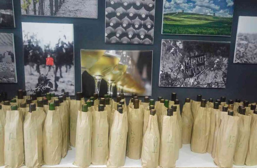 Arranca la Vendimia: Descubre los Vinos Imprescindibles de Esta Temporada