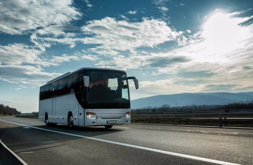 DOCM Anuncia la Concesión de 381 Ayudas para Transporte Escolar en el Curso 2023-2024