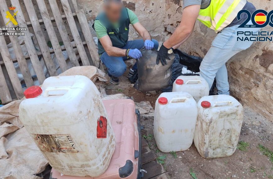 Desarticulada una organización criminal que introducía cocaína enmascarada en fruta, café y cacao