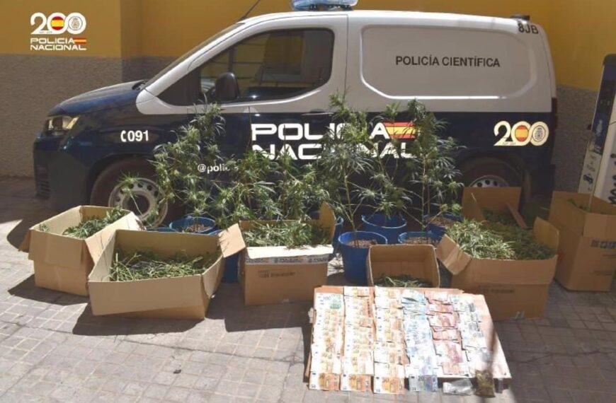 Desmantelan Clan Familiar por Cultivo ‘Indoor’ de Marihuana en Puertollano