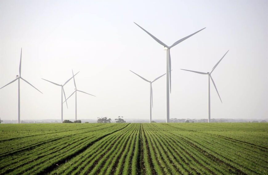 Renovables superan a las energías sucias: Solar y eólica toman la delantera en Europa