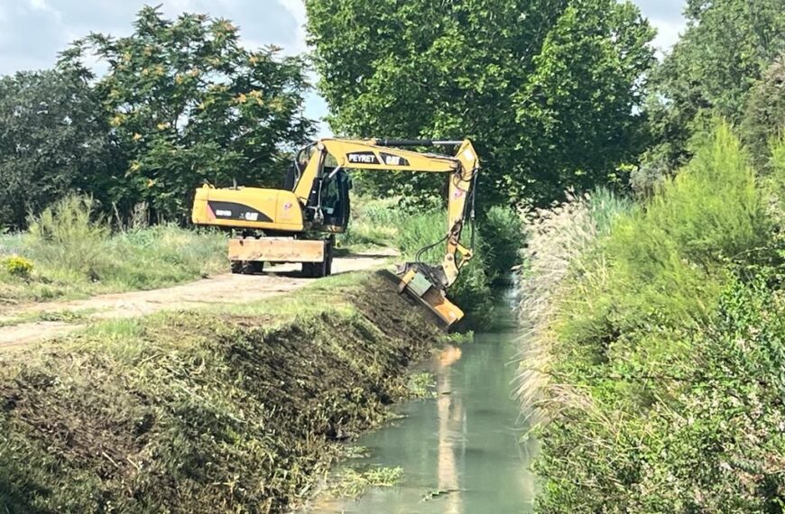 Peyret: Innovación en Desbroces de Precisión para Entornos Impecablemente Mantenidos