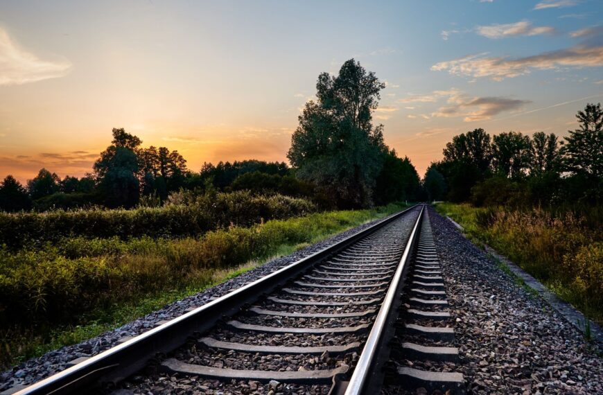 SerCat Amplía Su Alcance Digital con la Nueva Generación de Tecnologías