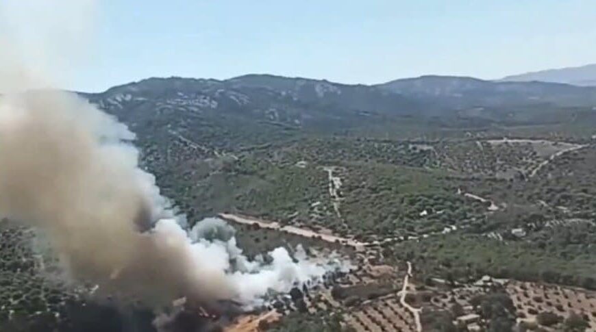 Seis medios y 26 personas trabajan en extinguir un incendio en Viso del Marqués, Ciudad Real