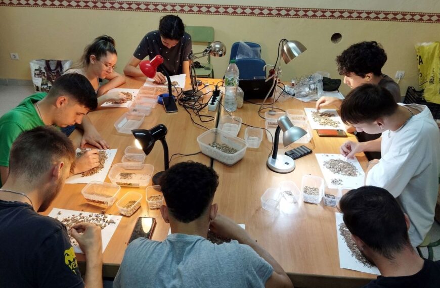 Siete jóvenes de Terrinches realizan trabajos de recuperación de materiales arqueológicos de Castillejo de Bonete