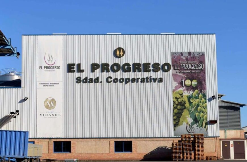 La cooperativa El Progreso terminó la vendimia y recogerá la aceituna en verde a comienzos de noviembre