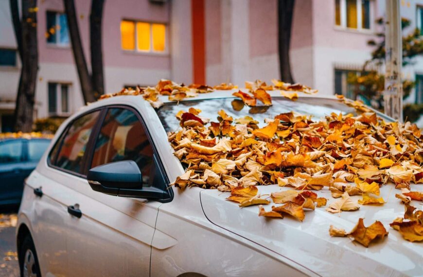 Consejos de Seguridad Vial en Otoño: Recomendaciones de Talleres Murillo