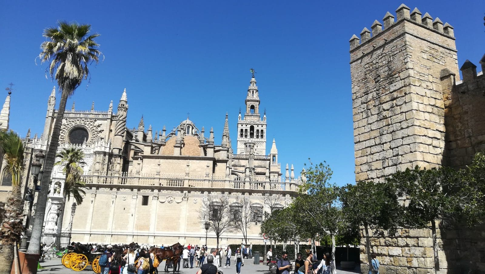 Regulación de Viviendas Turísticas por Barrios: Hacia un Enfoque Equilibrado