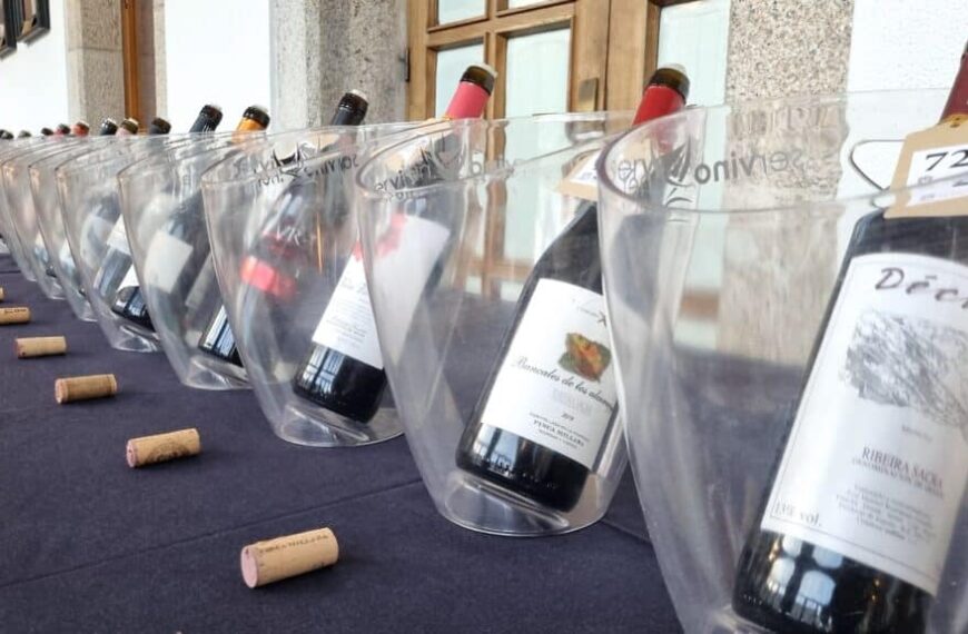 Vinos de Lugo: Triunfo Sobresaliente con Multitudinaria Participación