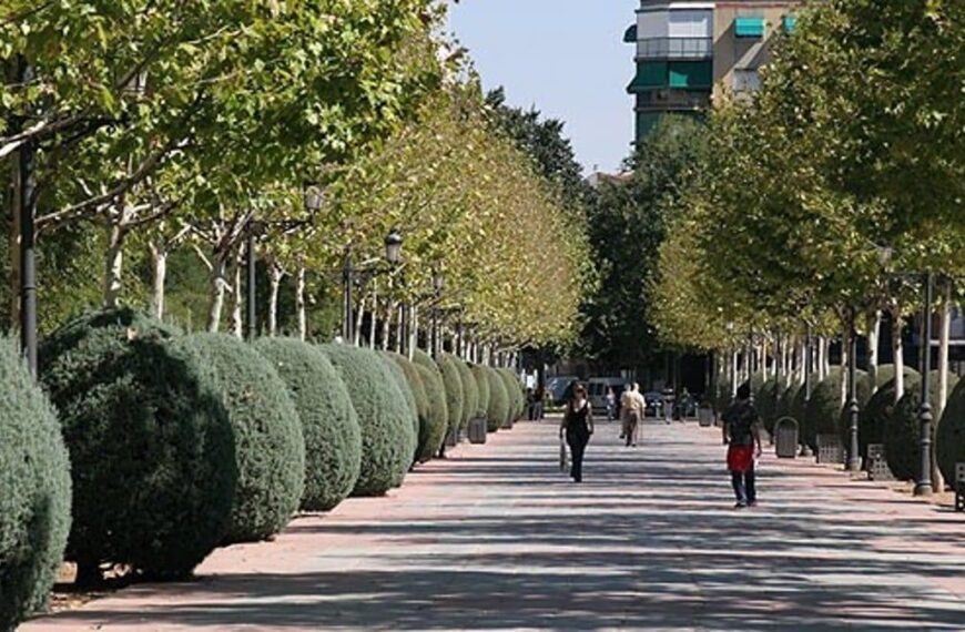 Detenido Por Agresión Con Arma Blanca A Un Joven En El Parque Gasset De Ciudad Real