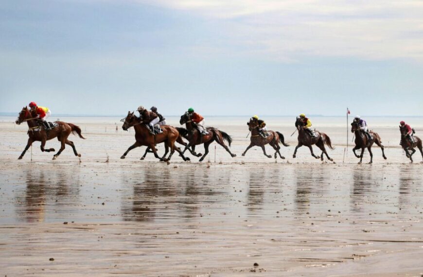 Primera Promoción de Terrazas del Lubricán en Sanlúcar de Barrameda: Entrega Programada para Marzo de 2025