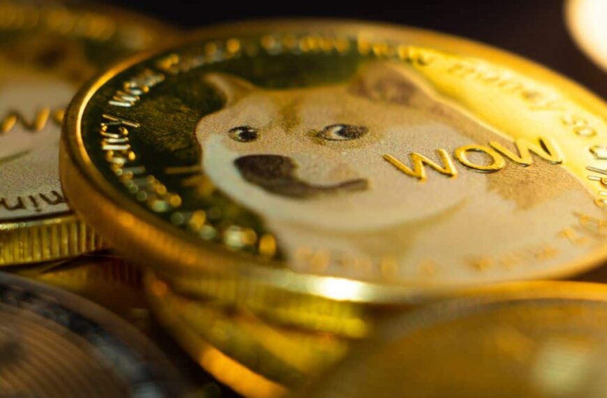 Guía Completa de los Memecoins de Moda en el Mundo Cripto