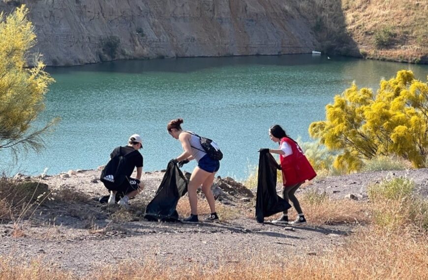 Cruz Roja Realiza Recogida De Basuraleza En Alcázar, Ciudad Real, Puertollano Y Socuéllamos Durante Este Mes De Diciembre