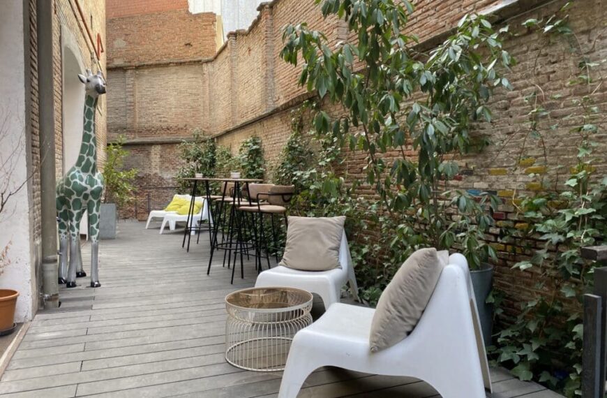 Dulce Safari: La Nueva Sensación de Tartas de Queso que Conquista Atocha