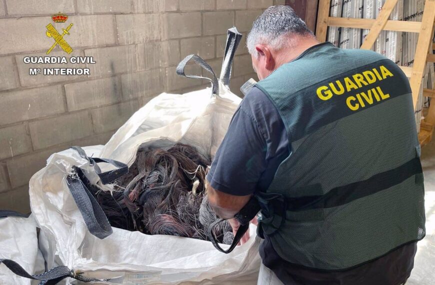 Cae un grupo criminal itinerante dedicado al robo de cobre en San Clemente, Cuenca, tras una operación policial exitosa.