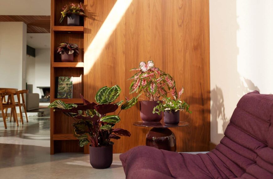 Innovación y Estilo: Elho Lanza Sus Nuevas Macetas para Interiores