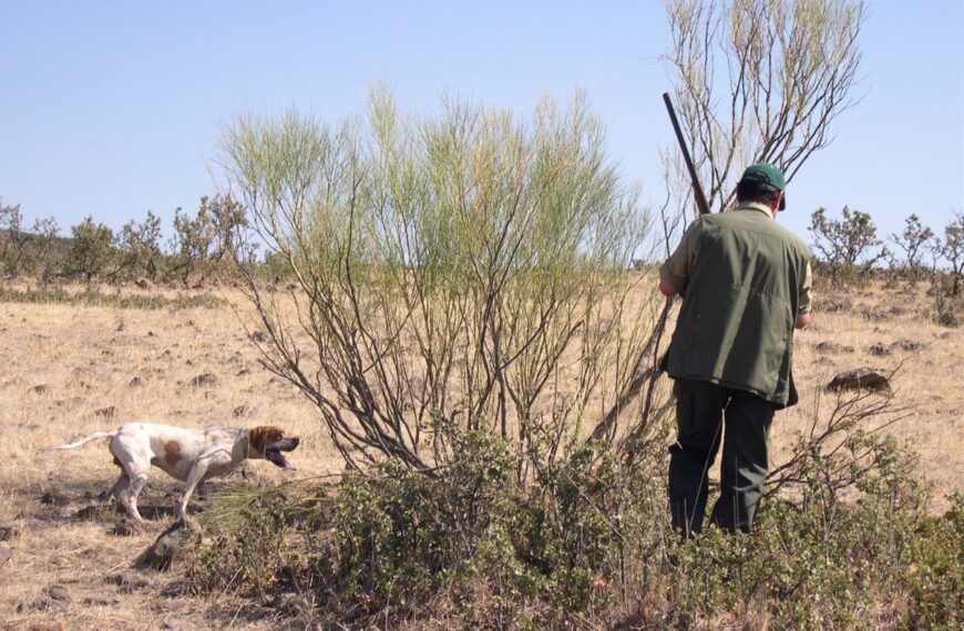 La Junta Abre El Plazo Para Participar En El Sorteo De Permisos De Caza En Los Nueve ‘Cotos Sociales’ De C-LM