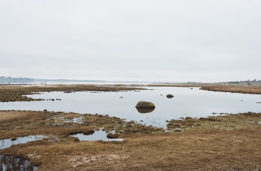 Creciente Crisis Hídrica: Aumento del 50% en Poblaciones Sin Agua Potable por Contaminación por Nitratos en 2023