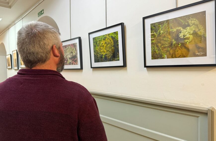 Inaugurada en Toledo la exposición Anfibios en la Biblioteca de Castilla – La Mancha