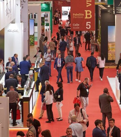 Fenavin 2025: Un Escapeate Para Productos Agroalimentarios De Ciudad Real Que Impulsa La Diversificación Y El Comercio Local