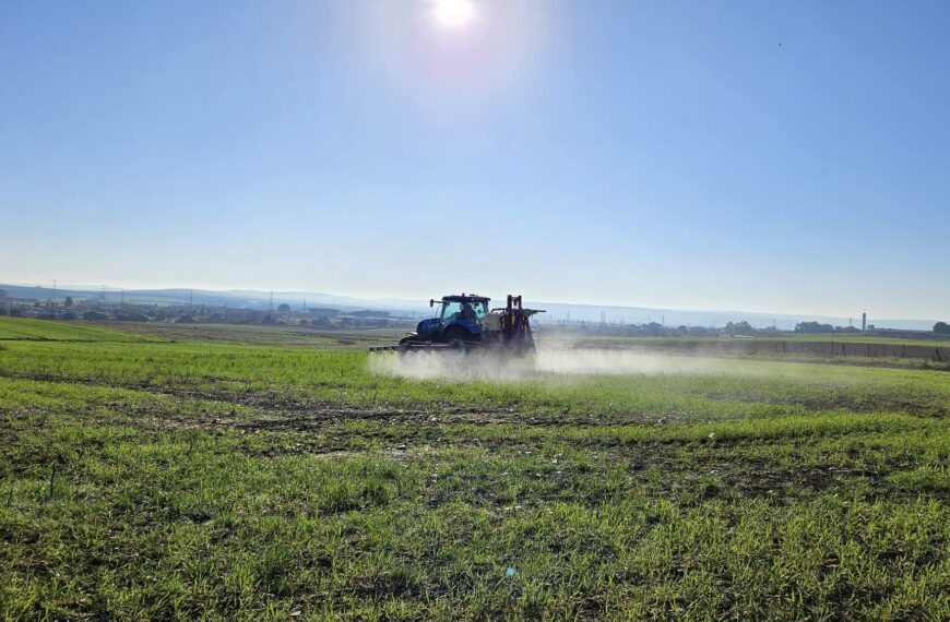 Avances en LIFE Innocereal EU: Incremento del 17,2% en Producción de Cereal y Disminución del 6,6% en Huella de Carbono