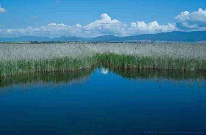 Día Mundial de los Humedales – Celebrando la vida en los humedales de Castilla-La Mancha