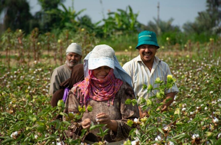 Revitalización del Desierto Egipcio: Oikocredit Impulsa la Agricultura Sostenible con Innovadores Proyectos Hídricos