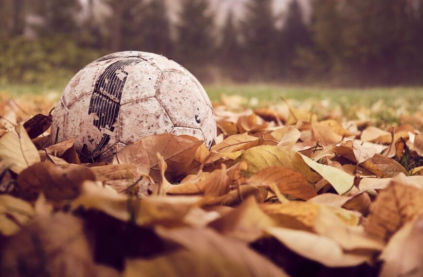 El fútbol sala de Manzanares impulsa el turismo en Castilla-La Mancha con el respaldo económico del Gobierno regional. ¡Vamos a apoyar el deporte y el turismo juntos!