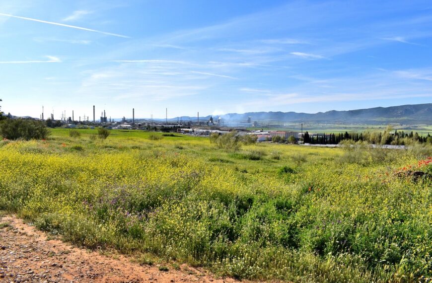 Aprobados 4,2 millones por el Ayuntamiento para terrenos de cementerio, amortización de deuda y nueva ambulancia de Protección Civil