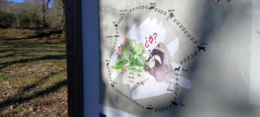 Descubre las maravillas del Parque Natural Valle de Alcudia y Sierra Madrona con actividades gratuitas ofrecidas por el Gobierno de Castilla-La Mancha