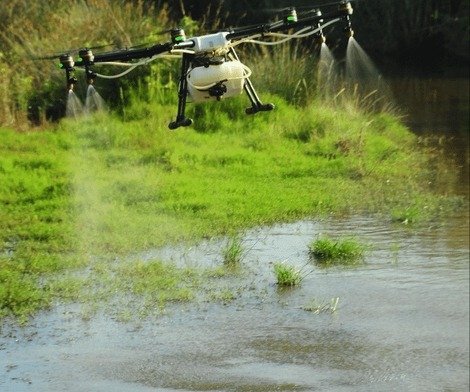 Acelerar la Acción: Estrategias Proactivas de Control Vectorial para Detener la Propagación de Mosquitos