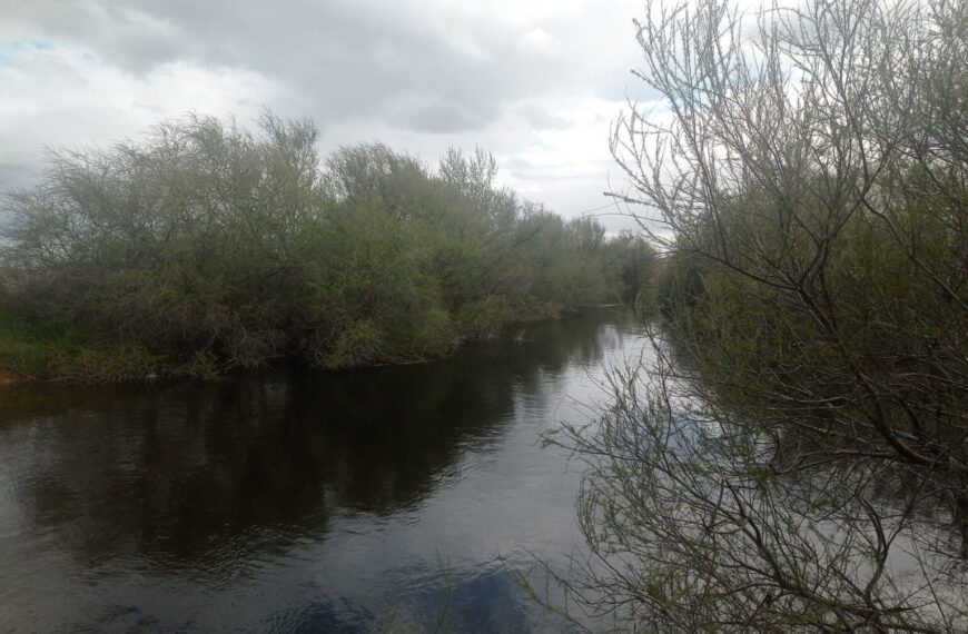 El río Cigüela resurge con fuerza en Herencia tras las lluvias: memoria, naturaleza y vida en la Mancha Húmeda