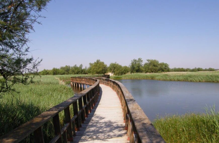 Regantes Insisten En Que «Es El Momento» De Trasvasar 20 Hm³ Para Encharcar Las Tablas De Daimiel