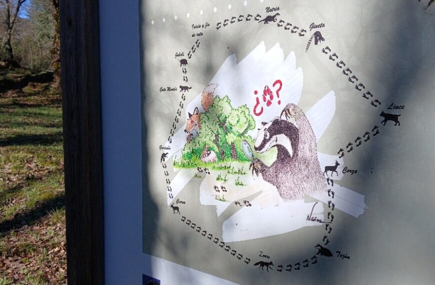 El Gobierno de Castilla-La Mancha invita a vivir gratis diferentes rutas en el parque natural Valle de Alcudia y Sierra Madrona