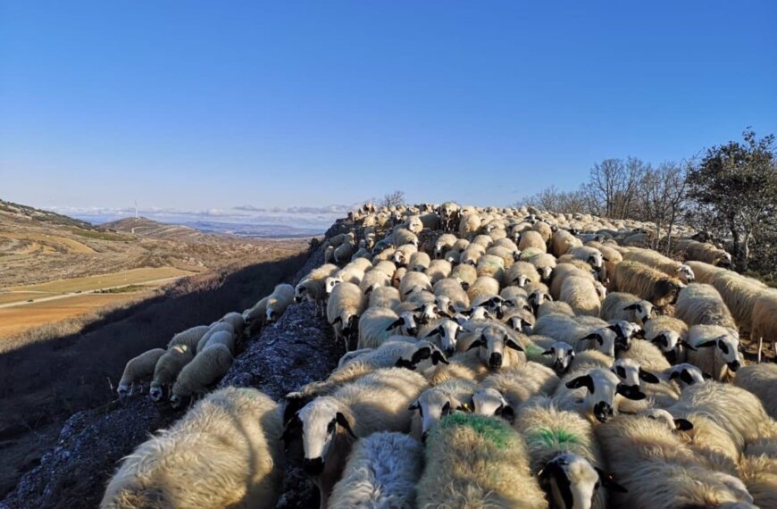 Abierto el plazo para los 33 cursos de verano de la UCLM enfocados en el mundo rural con récord de becas en matrículas